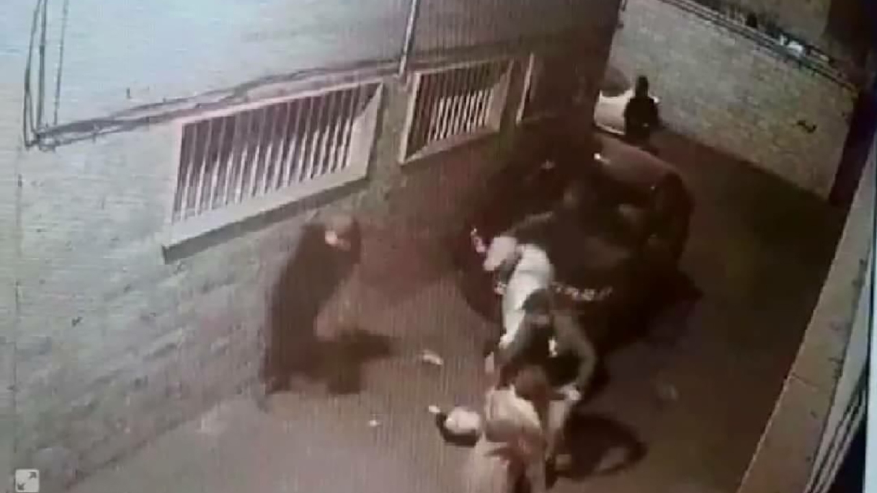 دستگیری سارقان به عنف در تهران
