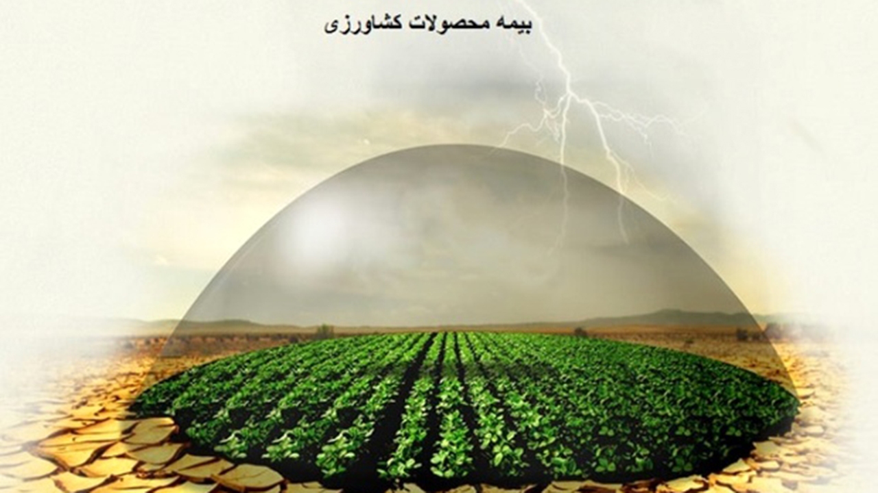 پایان دی‌ماه آخرین مهلت بیمه محصولات زراعی