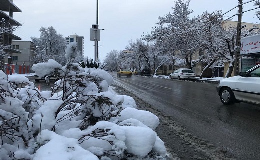 لباس سفید بر تن یلدای همدان