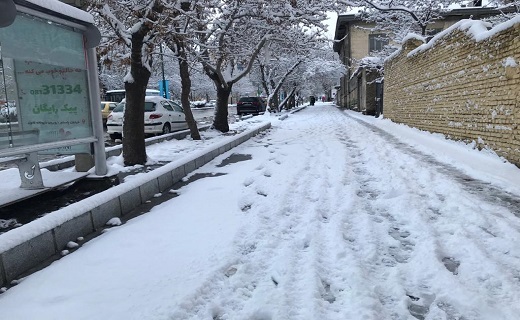 لباس سفید بر تن یلدای همدان