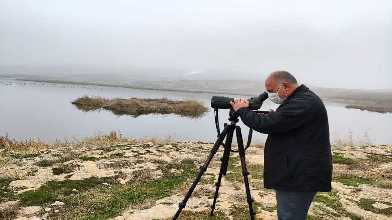 پایش پناهگاه حیات وحش تالاب کانی برازان