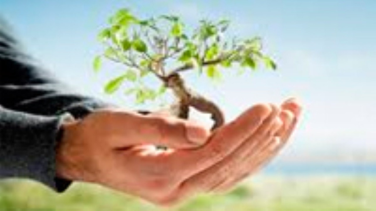 حفظ طبیعت با کاشت محصولات دیم