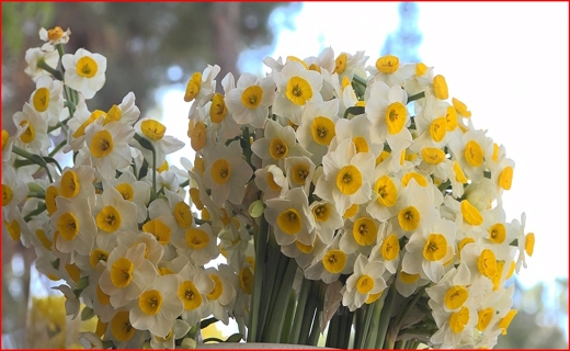 فرهنگ عفاف و حجاب در تندباد فضای مجازی/ تخفیفهای یلدایی فروشگاهها؛ دعوت شگفتانگیز به تجمع ویروس/ پیشنهاد انحلال شورای اسلامی شهر ساری فرهنگ عفاف و حجاب در تندباد فضای مجازی/ تخفیفهای یلدایی فروشگاهها؛ دعوت شگفتانگیز به تجمع ویروس/ پیشنهاد انحلال شورای اسلامی شهر ساری