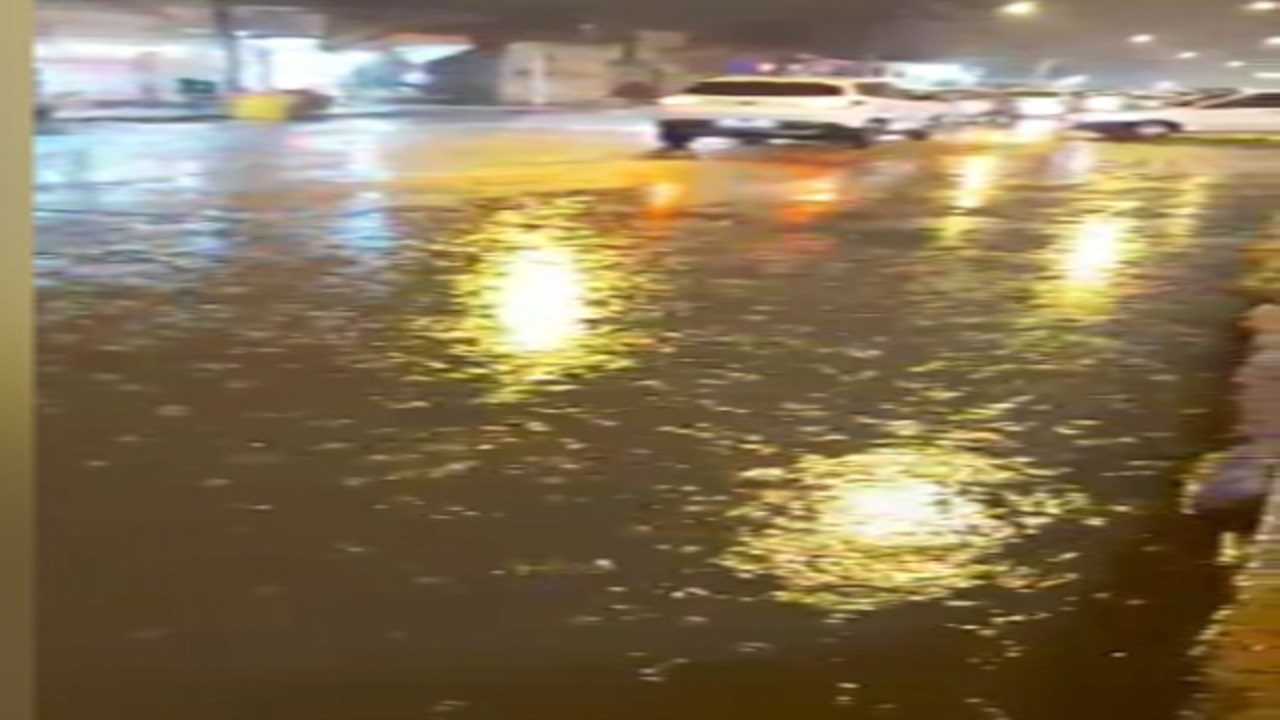 بارش باران و آبگرفتگی در آران و بیدگل + فیلم