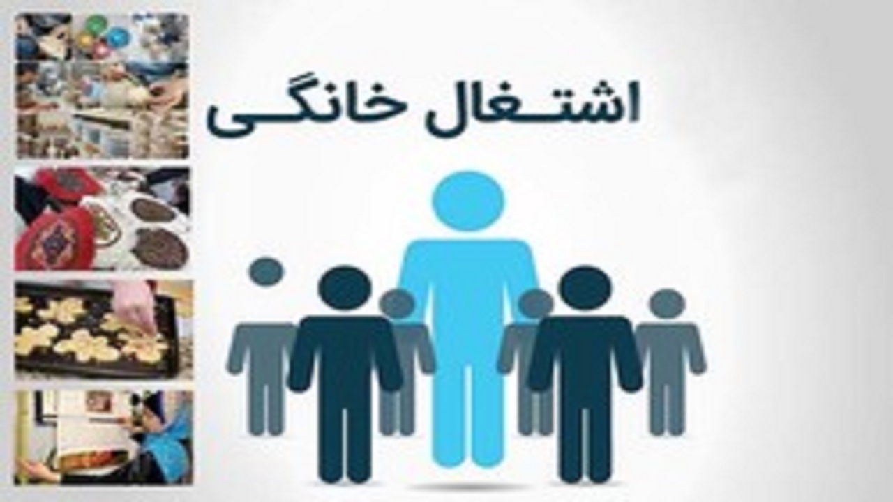 اعتبار ۲۰ درصدی تسهیلات مشاغل خانگی به میامی