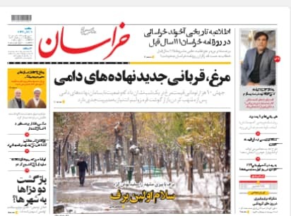 مرغ، قربانی جدید نهاده های دامی/ واکسن آنفولانزا درگیر ویروس های چمدانی