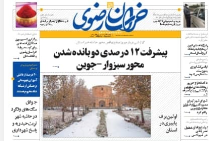 مرغ، قربانی جدید نهاده های دامی/ واکسن آنفولانزا درگیر ویروس های چمدانی