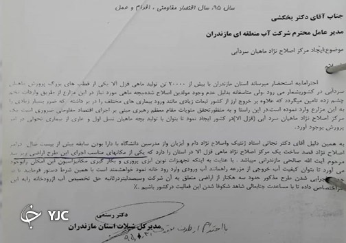 بچه ماهیهای خارجی اقبال دارند + فیلم بچه ماهیهای خارجی اقبال دارند + فیلم