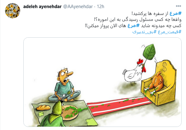 توئیت کاربران با هشتگ #مرغ آقایان چند روز مدیریت نکنید بلکه قیمت مرغ پایین بیاید!