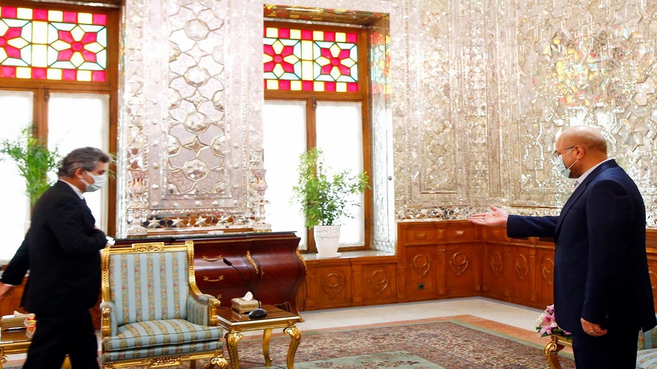 دیدار سفیر ترکیه با رئیس مجلس