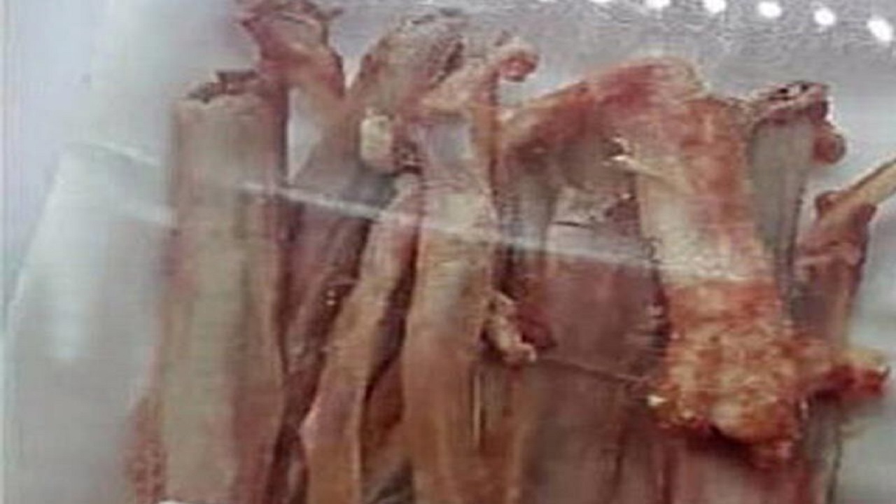 عرضه استخوان غیر بهداشتی در یکی از مناطق آبادان/شناسایی و معرفی فروشنده استخوان به دستگاه قضایی