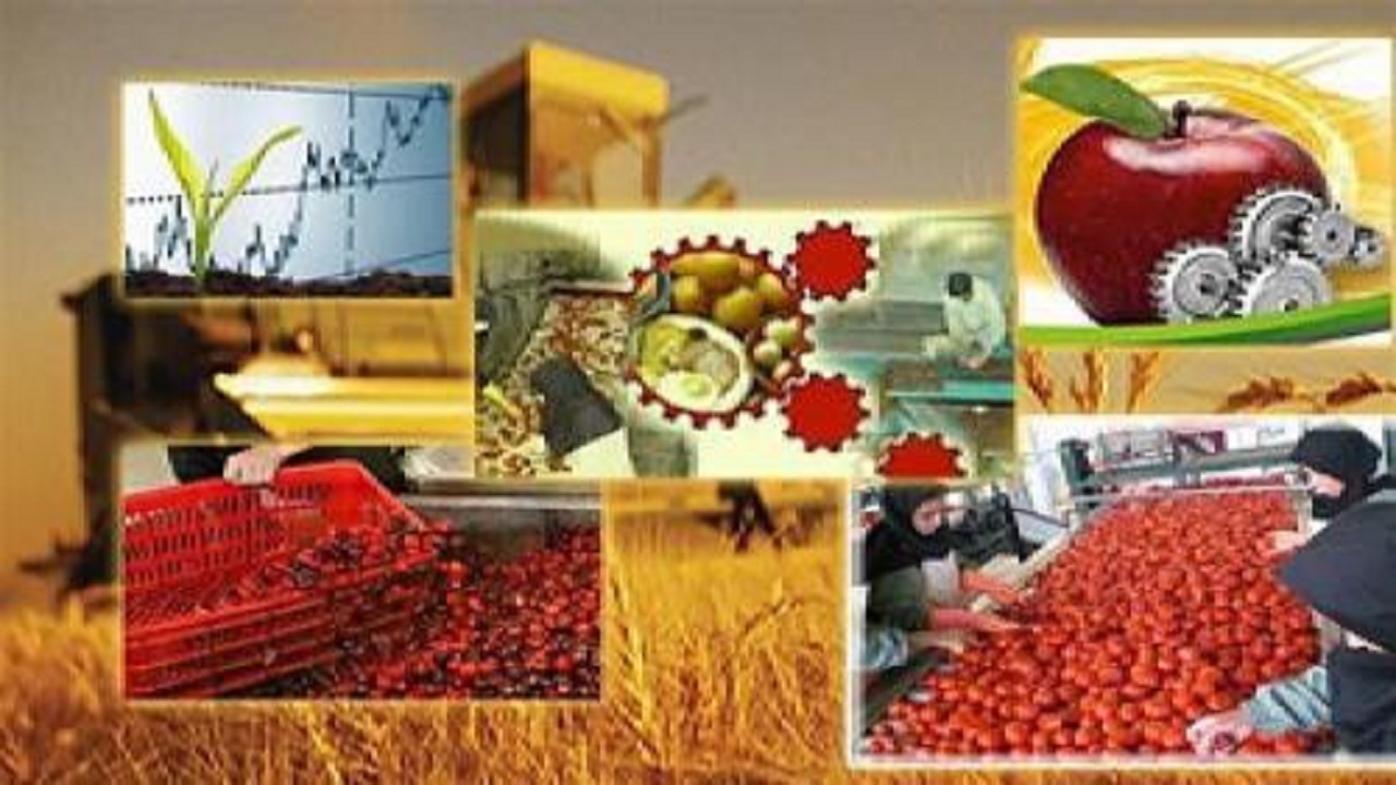 ایجاد صنایع تبدیلی مانع خام فروشی محصولات کشاورزی