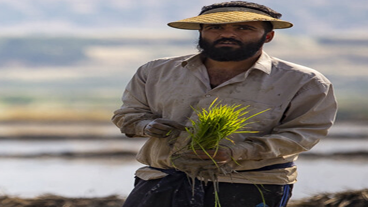 اعطای مجوز به طرح گردشگری کشاورزی در فارس