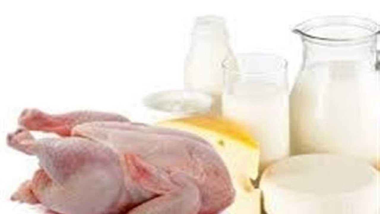 چالش نهاده‌های دامی پیش روی بازار مرغ و لبنیات