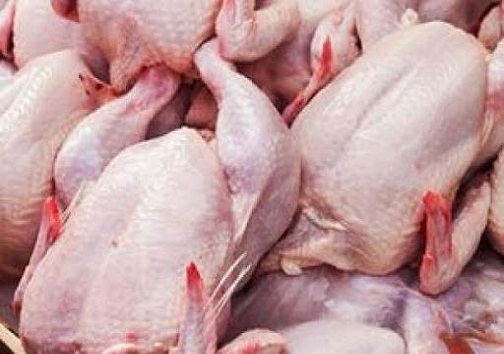 قیمت مرغ در قطب تولید اصفهان بالاتر از دیگر استان&zwnj;ها است