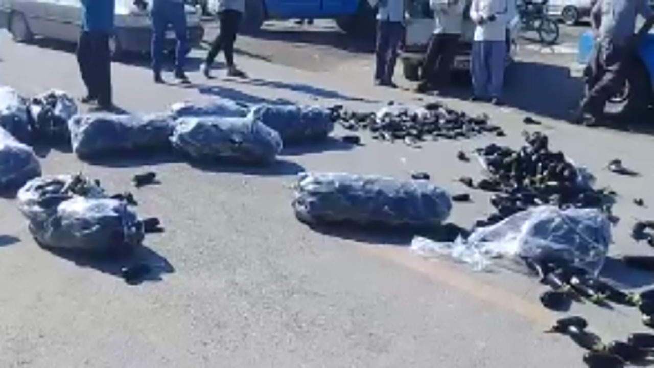 نبود بازار مناسب محصول بادمجان در رودان + فیلم