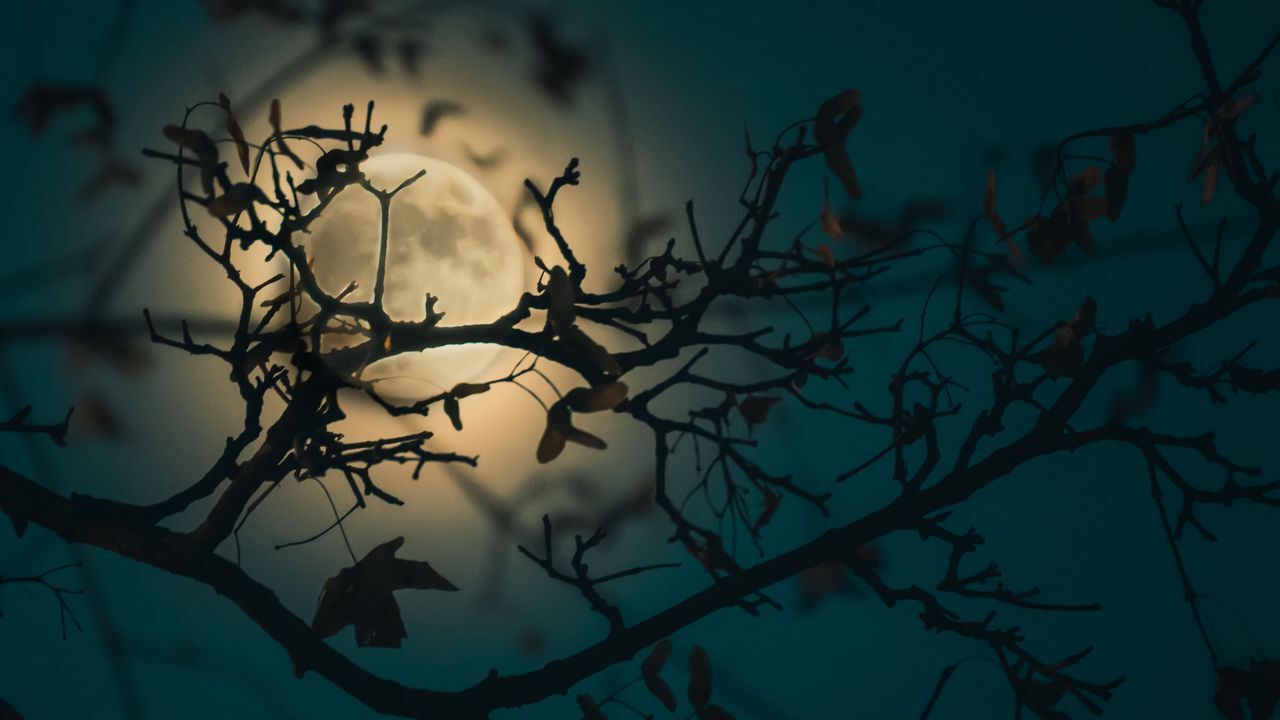 جذاب&zwnj;ترین تصاویر پس زمینه 