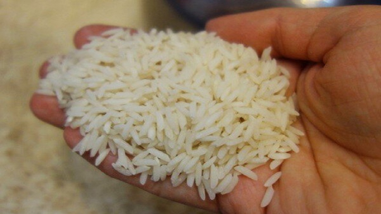 قیمت برنج وارداتی در استان سمنان کیلویی ۱۸ هزار تومان است