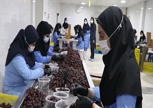 فرآوری و بسته&zwnj;بندی محصول خرما