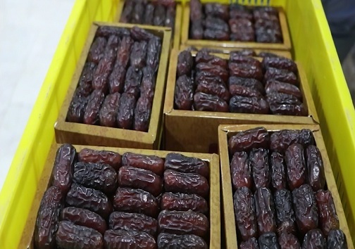 فرآوری و بسته&zwnj;بندی محصول خرما