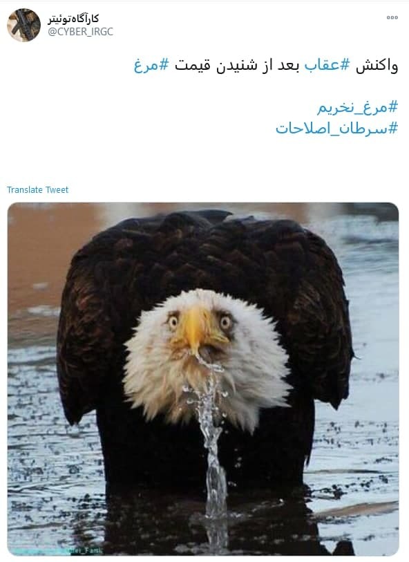 مرغ گران ناله سر کن...