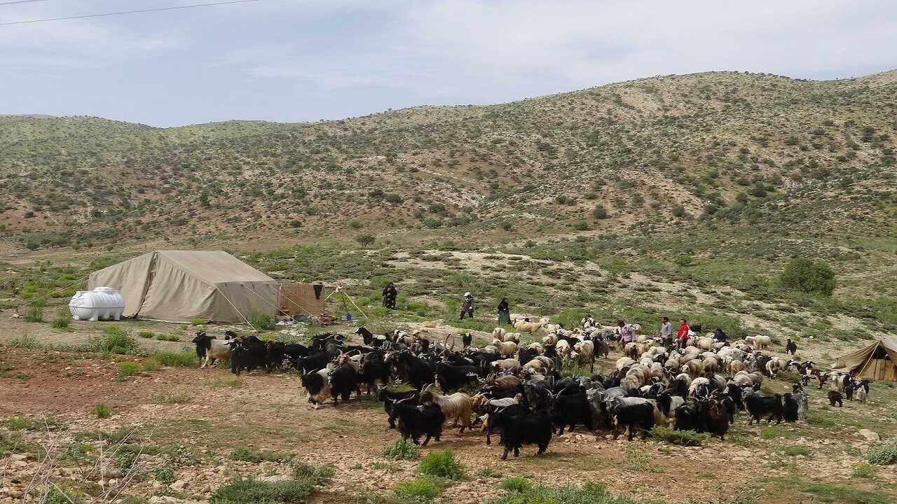 طرح همگام با عشایر بمناسبت هفته بسیج اجرا شد