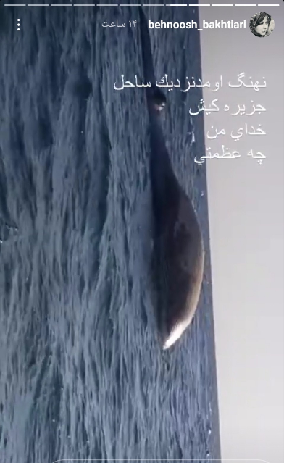 نهنگی عظیم الجثه در استوری خانم بازیگر نهنگی عظیم الجثه در استوری خانم بازیگر
