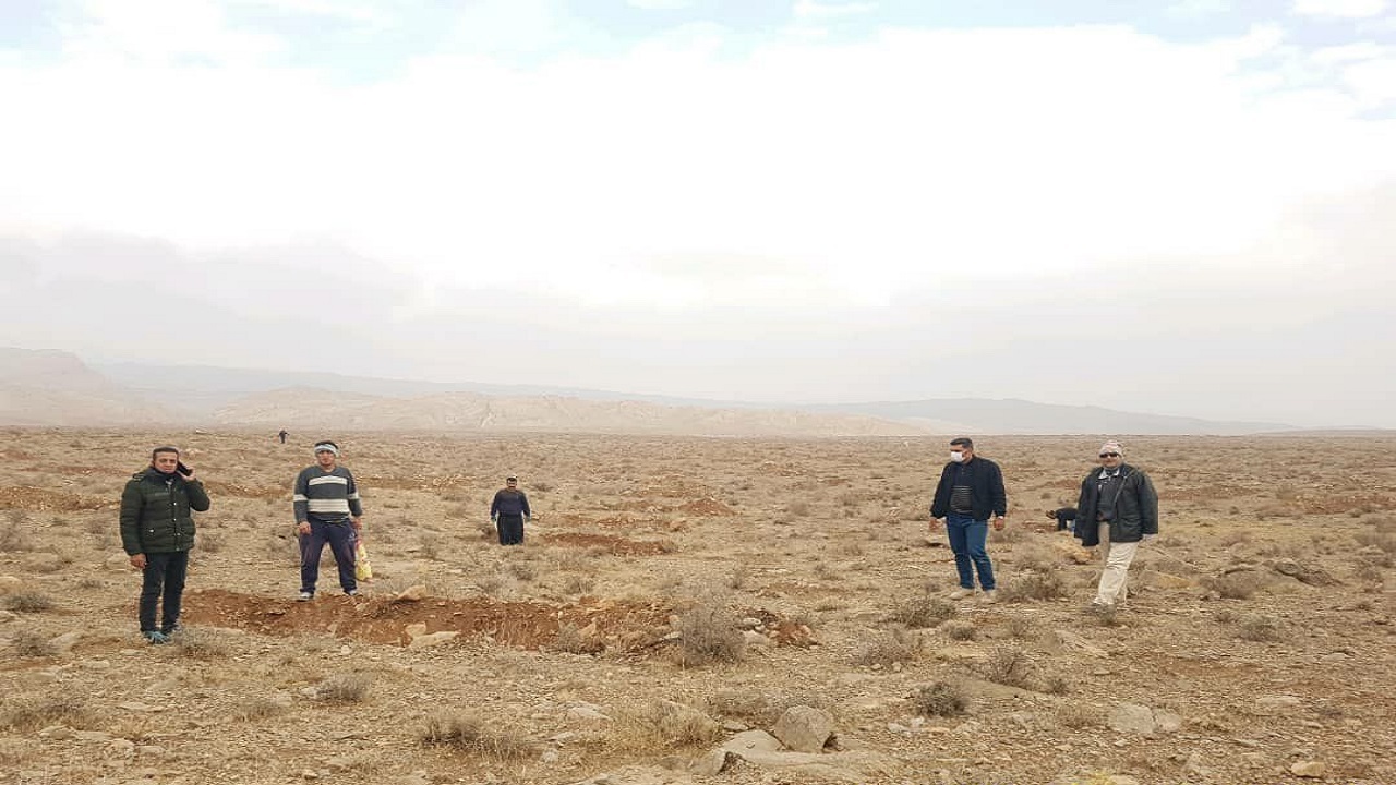 مشارکت مددجویان زندان کاشان در طرح جنگل کاری