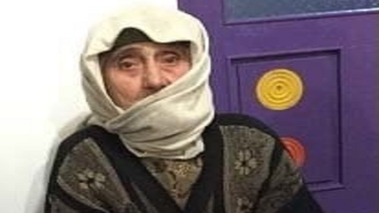 کار مادر بزرگ ایرانی جهانی شد + عکس