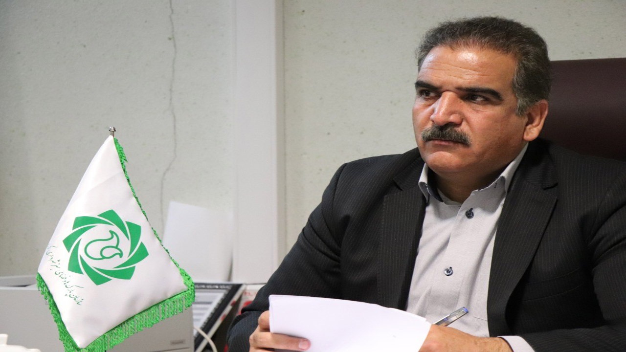 درختان واقع در مسیر پروژه‌های عمرانی کرمان جابجا می‌شوند