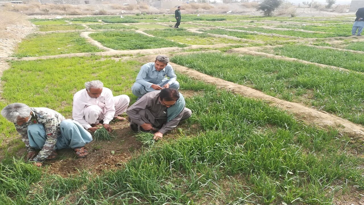 ۲ هزار میلیارد ریال تسهیلات به کشاورزان اعطا می‌شود