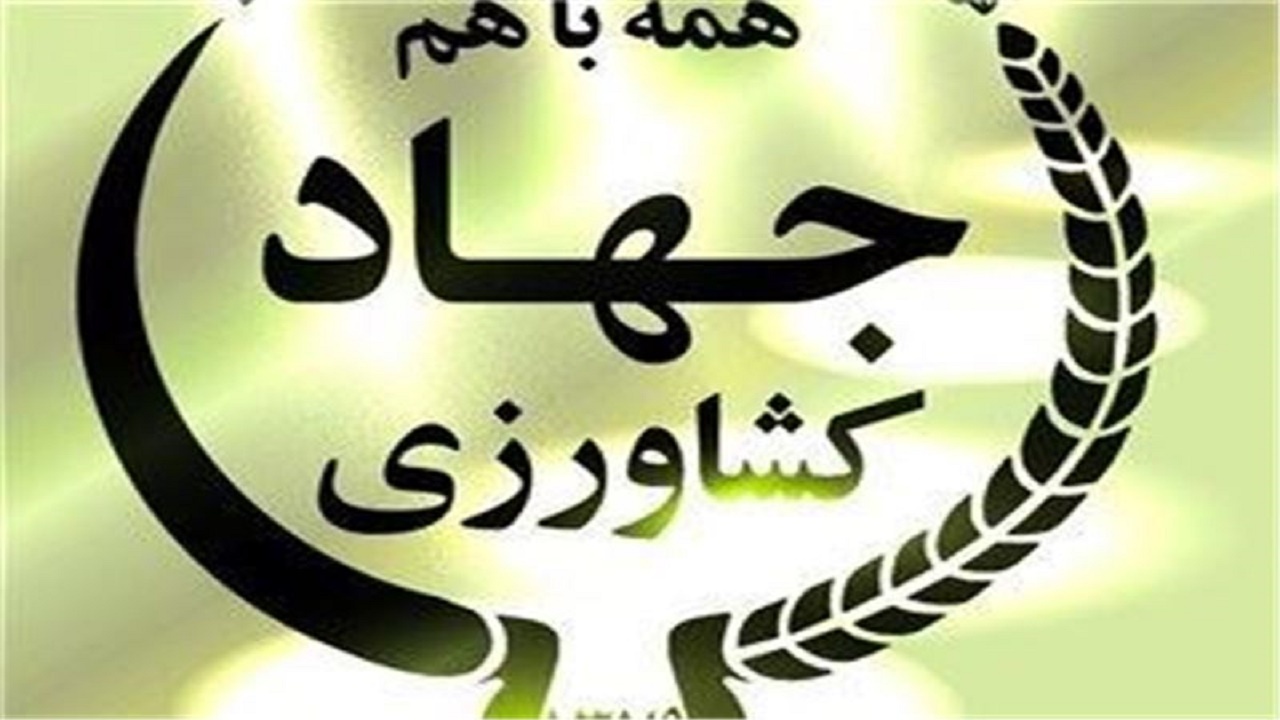 معضل عدم پرداخت حقوق نیرو‌های شرکتی جهاد کشاورزی لرستان