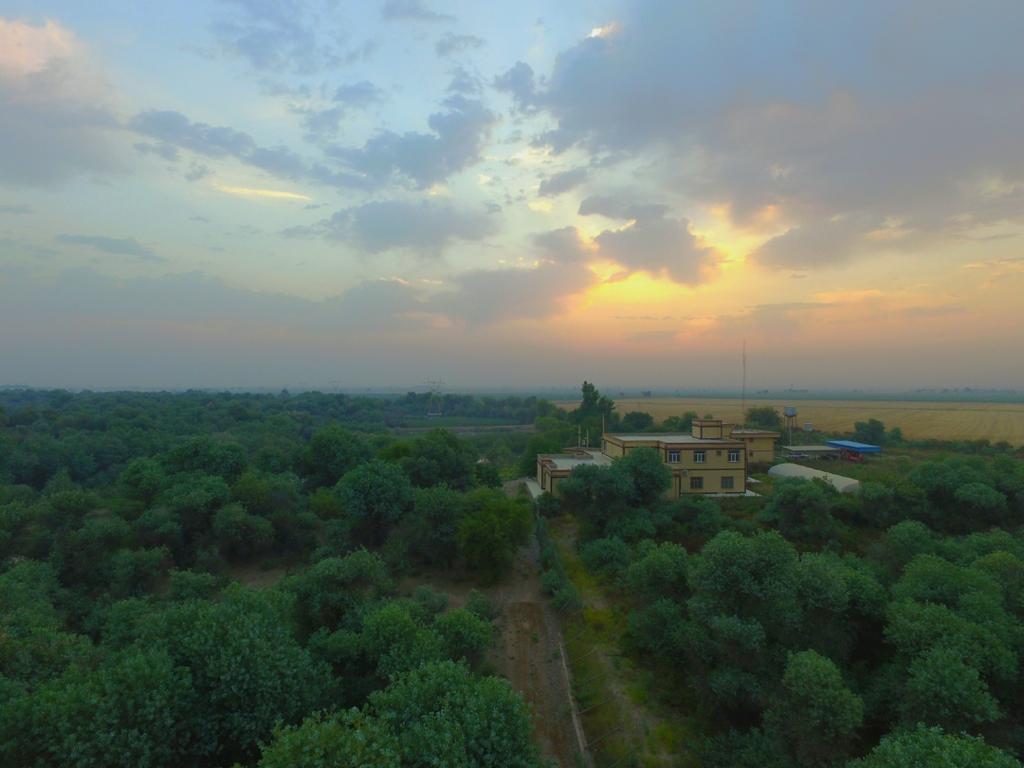 نمایی از سایت دز
