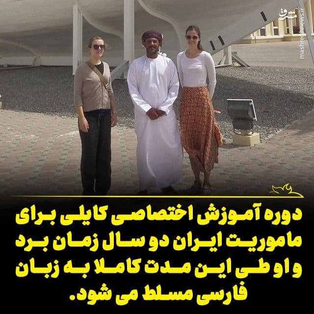 جزئیات نحوه نفوذ و جاسوسی «کایلی گیلبرت» / نوهی معنوی «برنارد لوئیس» چگونه در ایران به دام افتاد؟ +تصاویر جزئیات نحوه نفوذ و جاسوسی «کایلی گیلبرت» / نوهی معنوی «برنارد لوئیس» چگونه در ایران به دام افتاد؟ +تصاویر