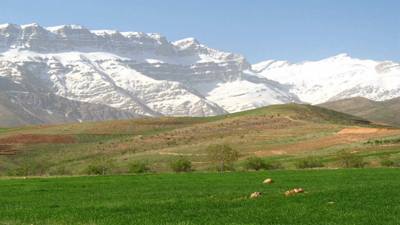 طرح‌های مرتع و آبخیزداری با جامع نگری اجرا شود