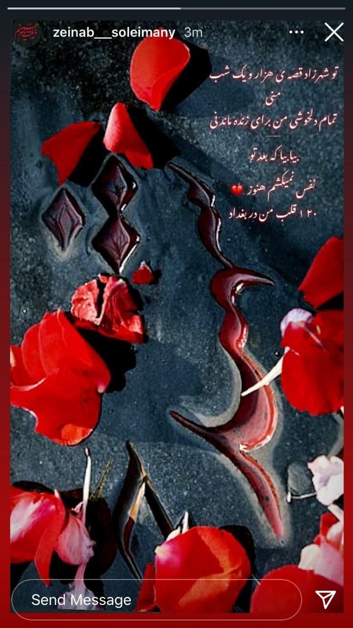 زینب سلیمانی