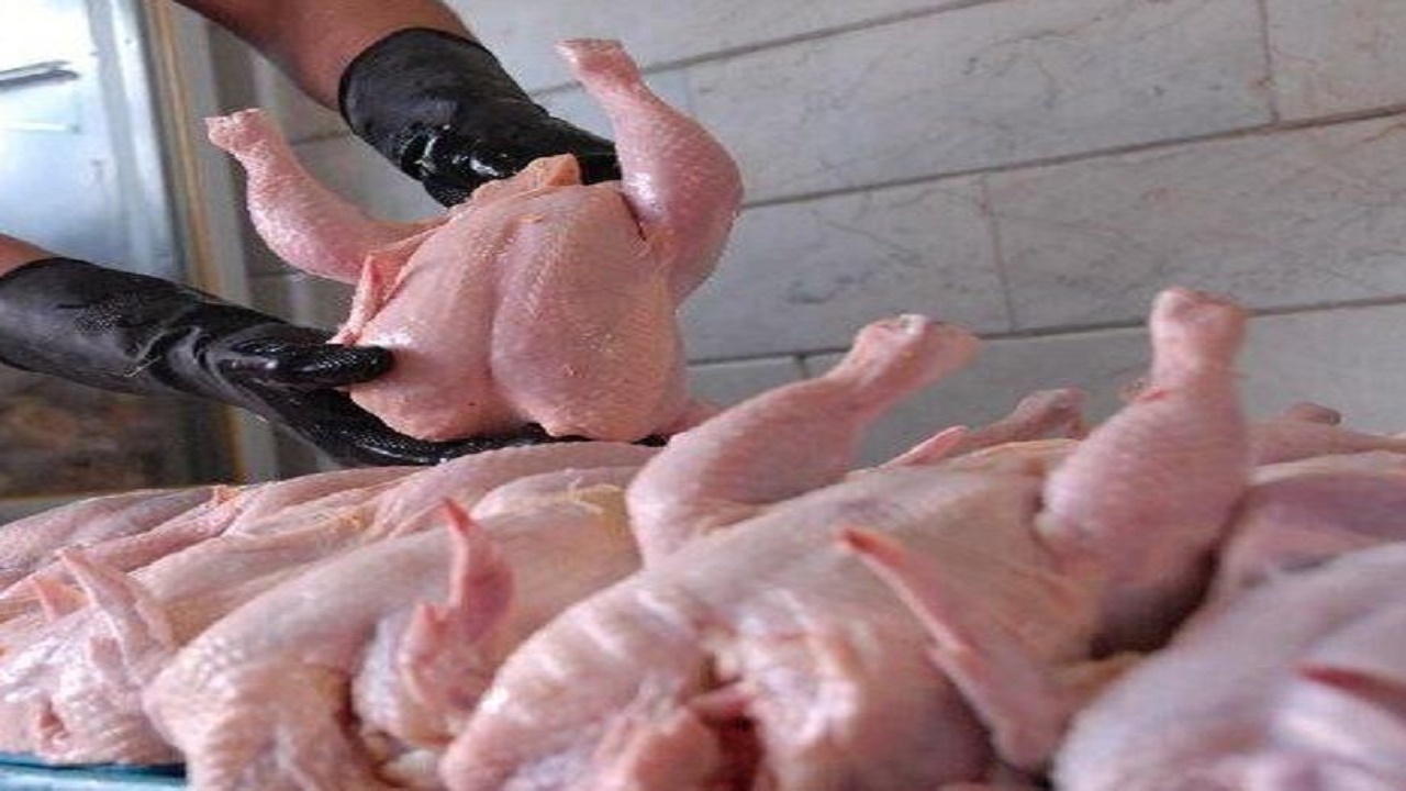 قیمت مرغ در اصفهان رو به کاهش است
