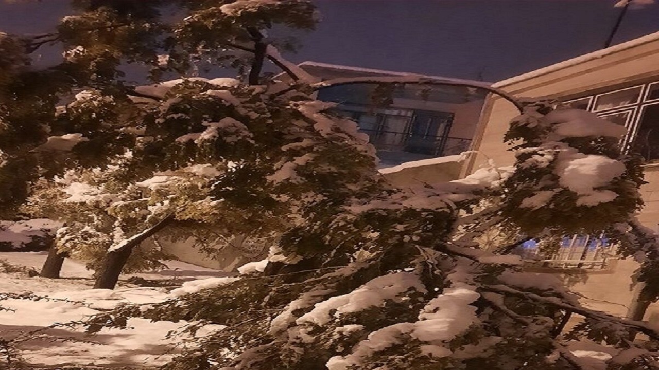 بارش برف در اردبیل