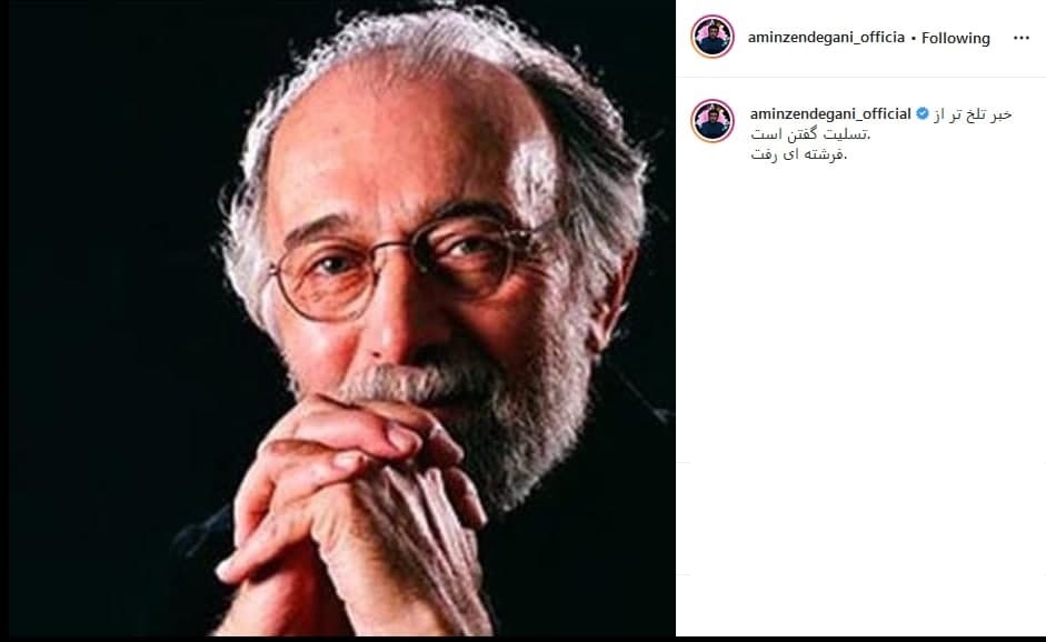 امین زندگانی امین زندگانی