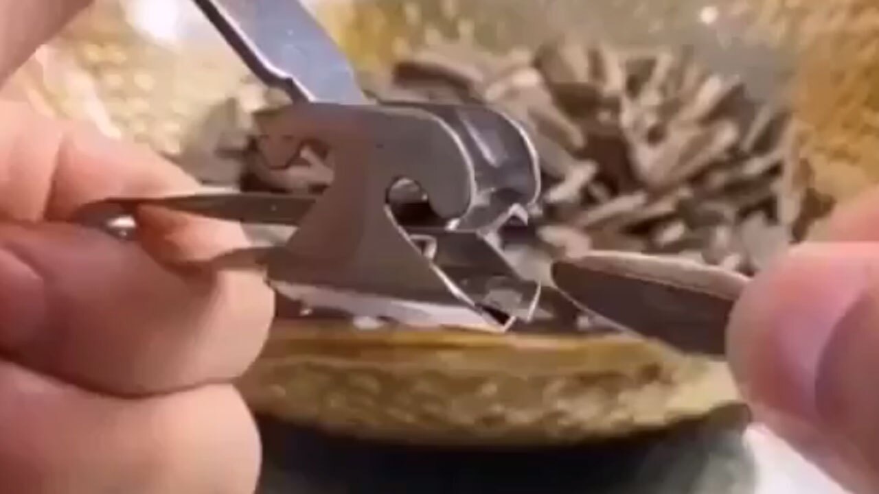 وسیله‌ای کاربردی برای شکستن پوست تخمه آفتابگردان + فیلم