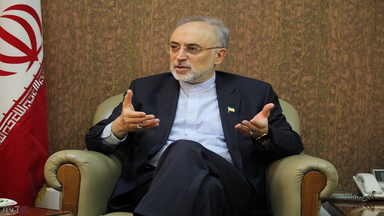 صالحی: شهید فخری‌زاده زیرساخت‌های پدافند هسته‌ای را به نحو احسن ایجاد کرد