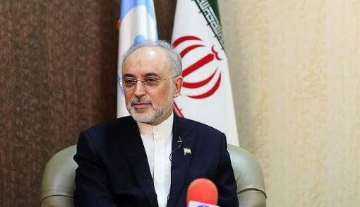 دانشمندی که بعد از شهادتش هم به پیشرفت علم کمک کرد/ ماجرای &laquo;محاسبات بحرانی&raquo; در برنامه هسته&zwnj;ای ایران