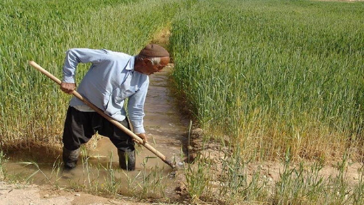 ۴۷هزار هکتار اراضی دیم شمال اردبیل به آبی تبدیل می‌شود