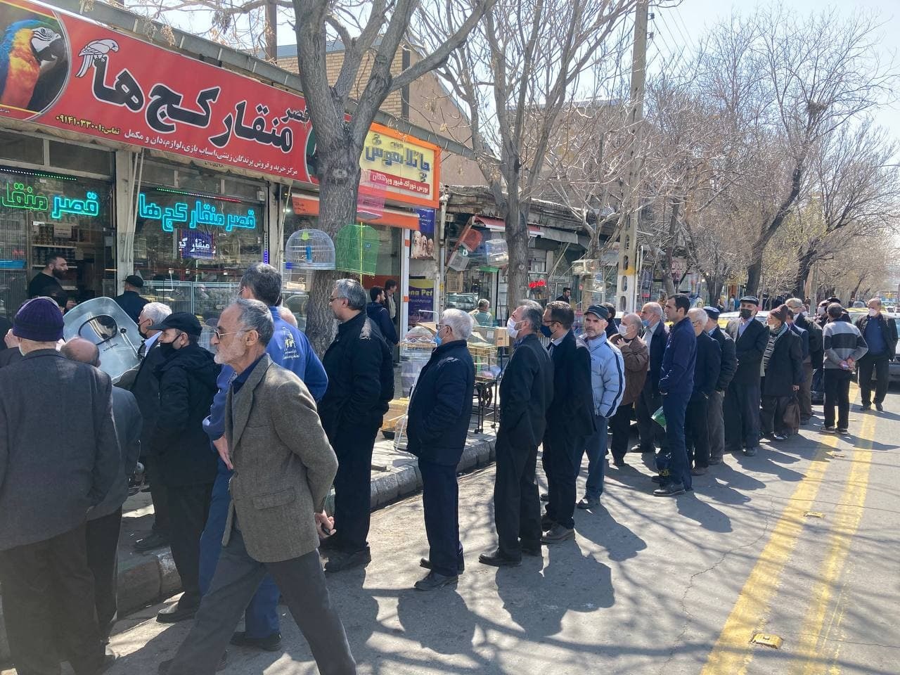 مرغ در تبریز