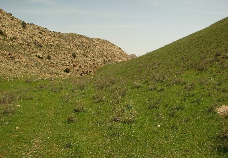دربادام، روستایی کوهستانی در دیار کرد&zwnj;های کرمانج