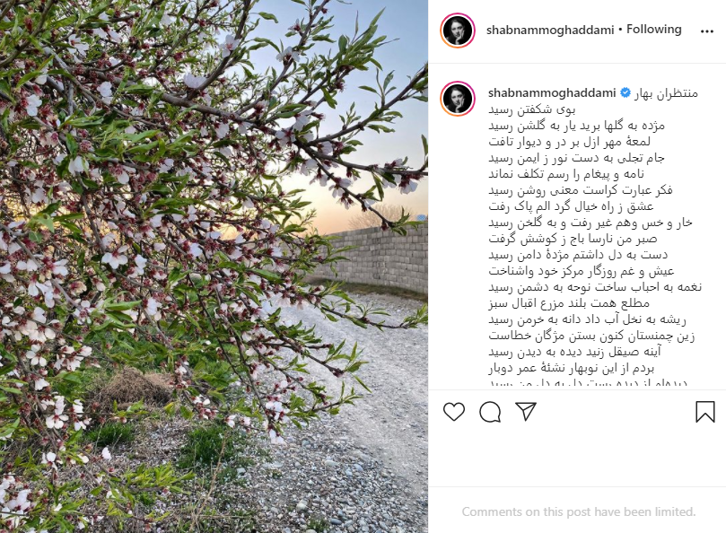 شبنم مقدمی