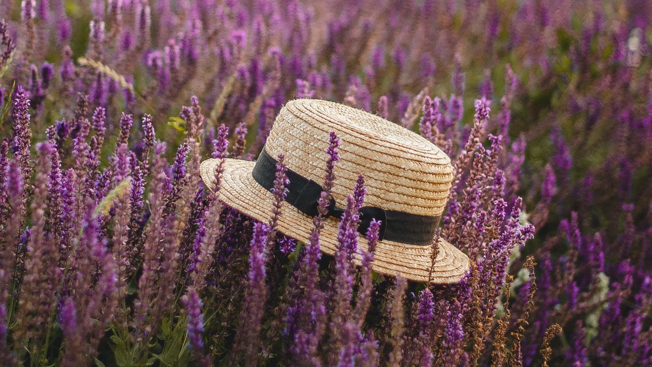 جذاب&zwnj;ترین تصاویر پس زمینه