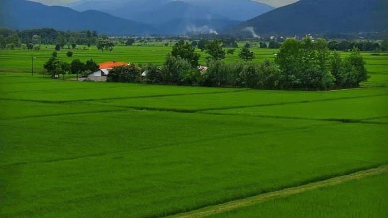 بهشت سبز ایران‌ کجاست؟ + تصاویر