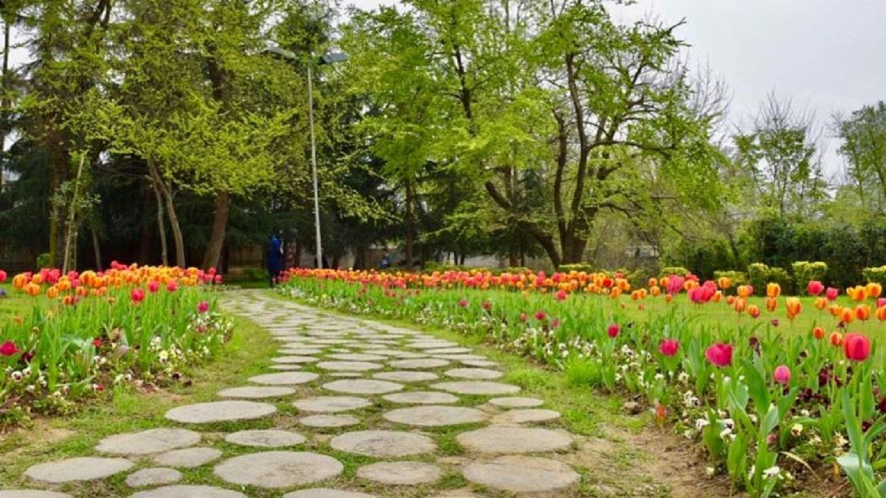 هرگونه تجمع در فضای سبز گیلان در روز طبیعت ممنوع است