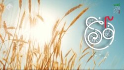 رأی گیری الکترال در سریال نون خ + فیلم